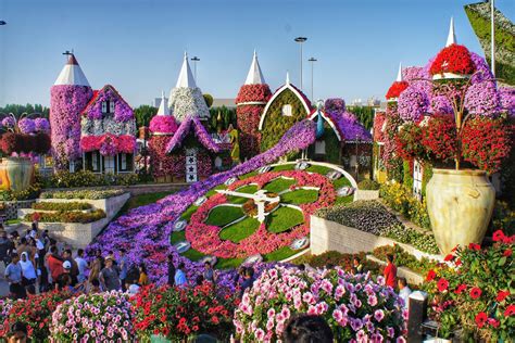 dubai miracle garden ticket price and timings